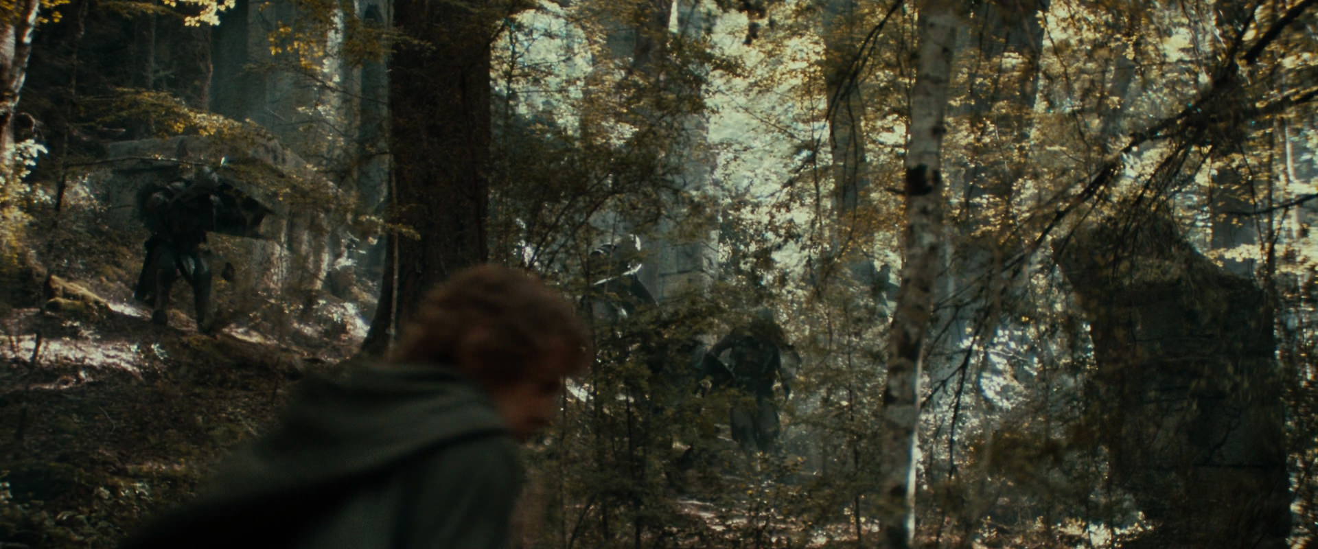 The Lord of the Rings: The Fellowship of the Ring (2001) movie still 22084