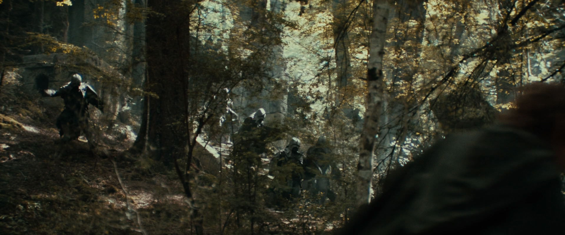 The Lord of the Rings: The Fellowship of the Ring (2001) HD screenshot 22085