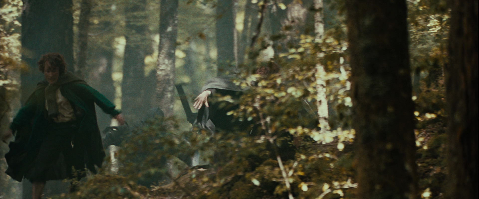 The Lord of the Rings: The Fellowship of the Ring (2001) screencap 22086