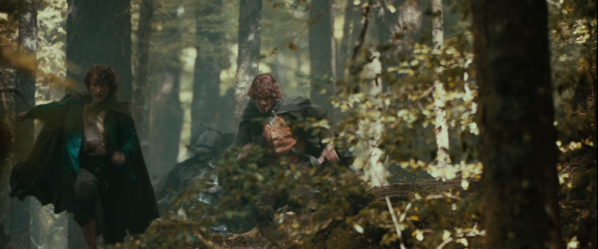 The Lord of the Rings: The Fellowship of the Ring (2001) movie still 22087