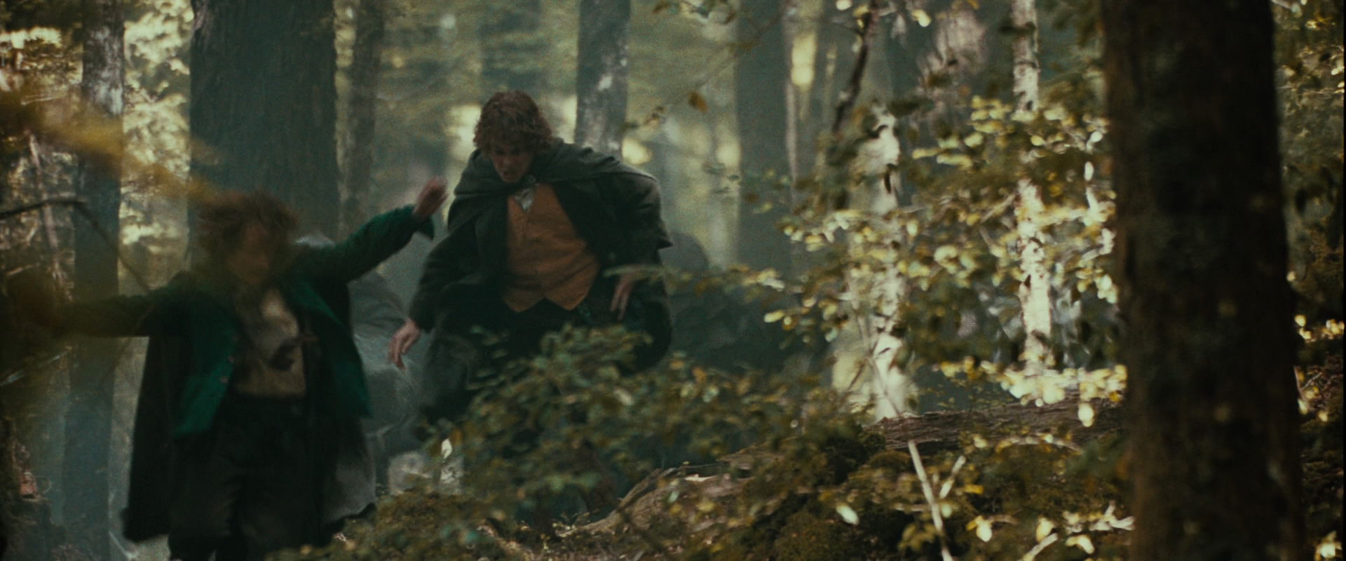 The Lord of the Rings: The Fellowship of the Ring (2001) HD screenshot 22088