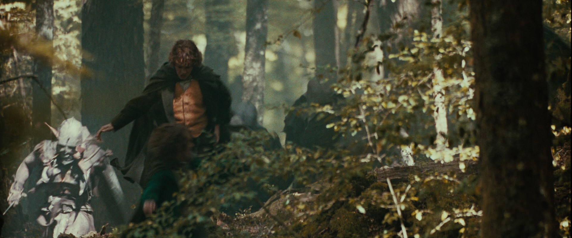 The Lord of the Rings: The Fellowship of the Ring (2001) screencap 22089