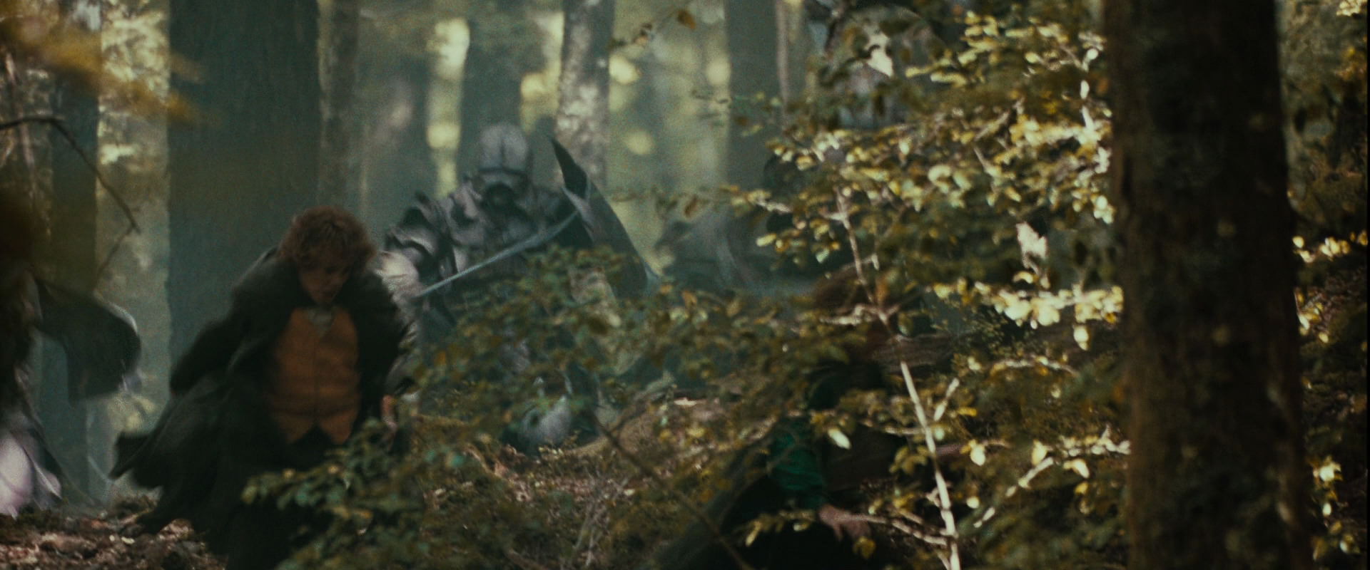 The Lord of the Rings: The Fellowship of the Ring (2001) movie still 22090