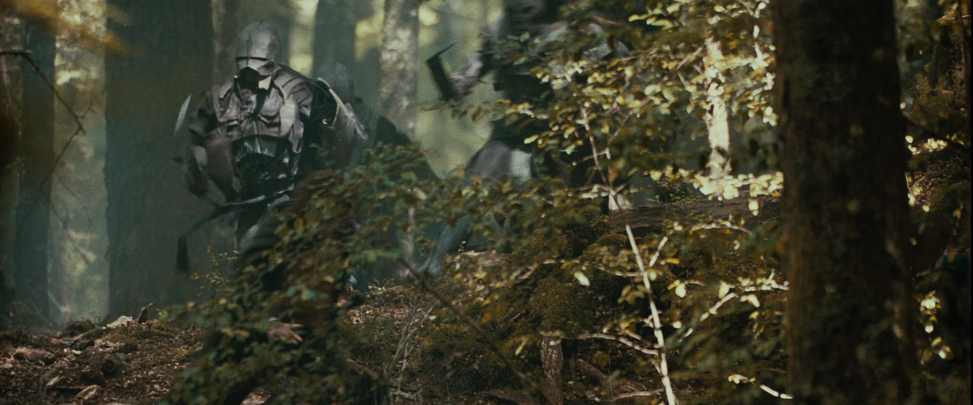 The Lord of the Rings: The Fellowship of the Ring (2001) HD screenshot 22091