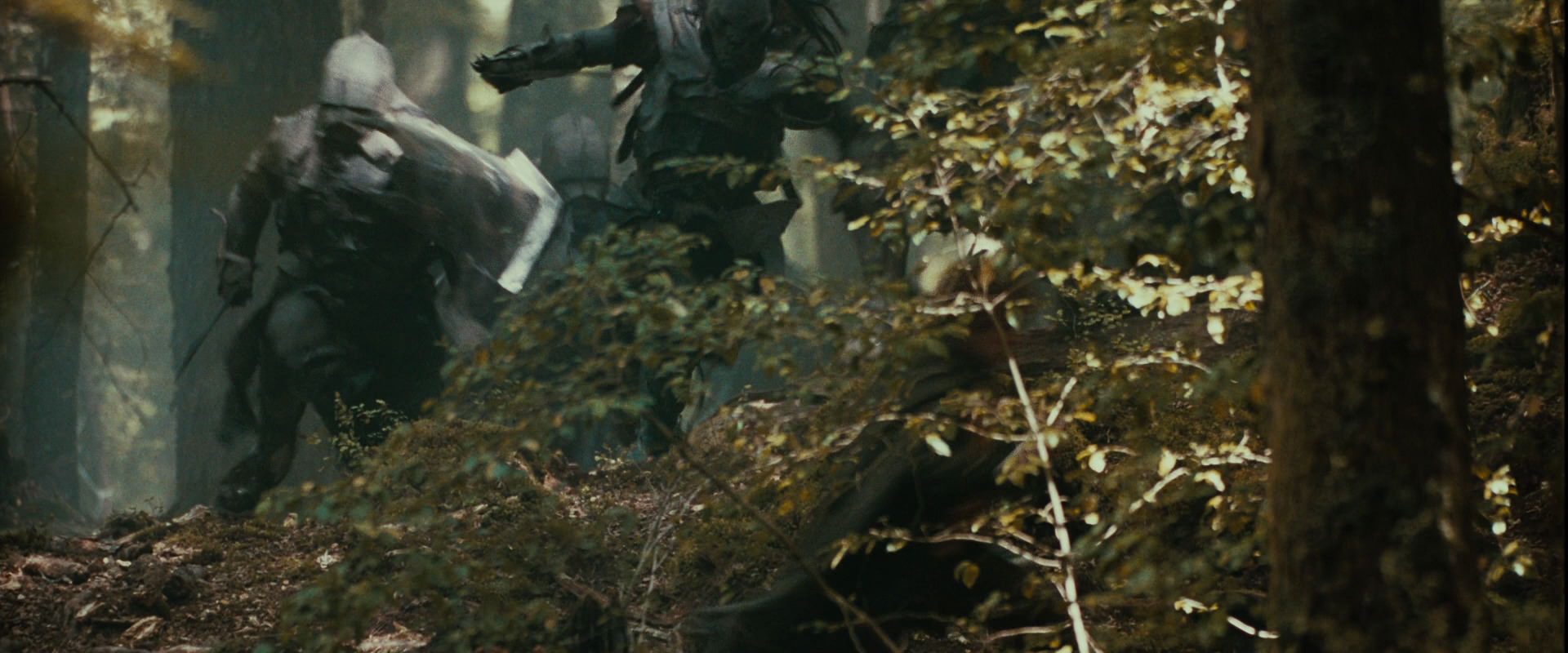 The Lord of the Rings: The Fellowship of the Ring (2001) screencap 22092