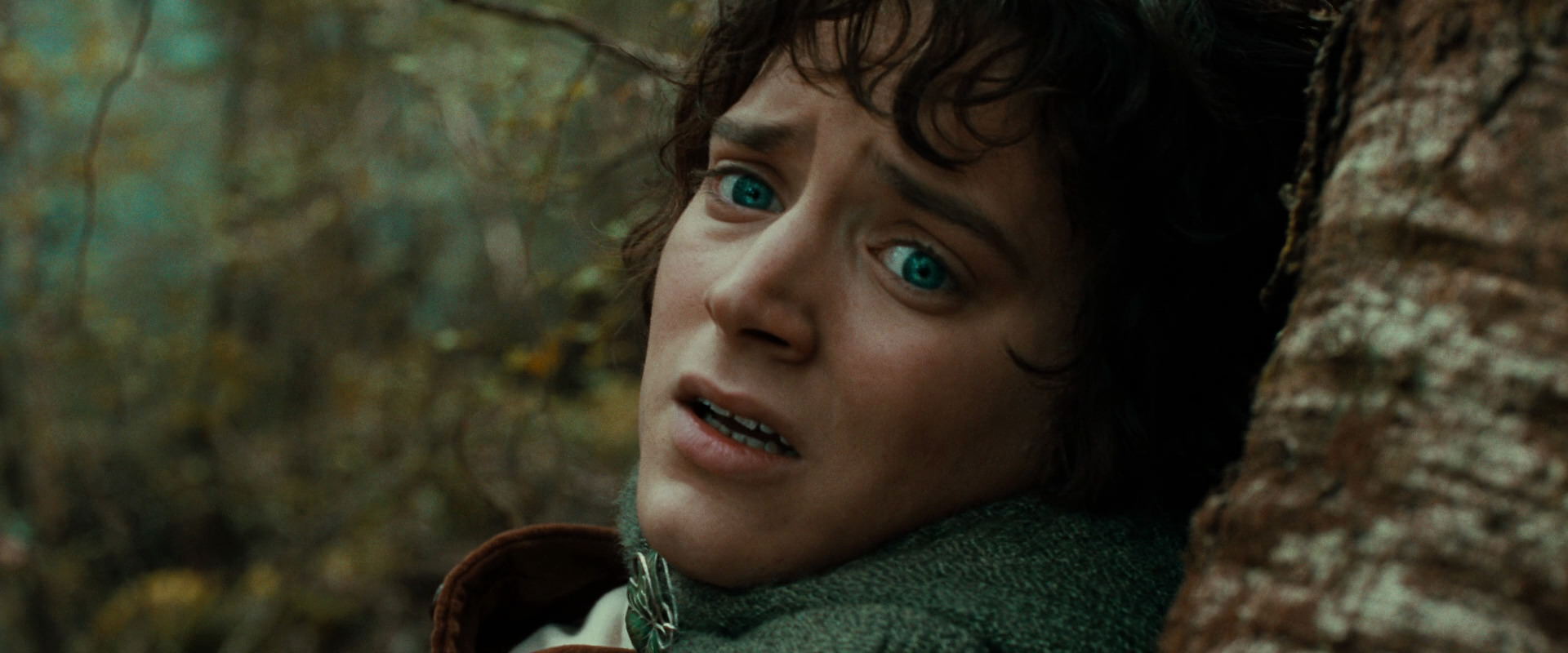 The Lord of the Rings: The Fellowship of the Ring (2001) movie still 22093