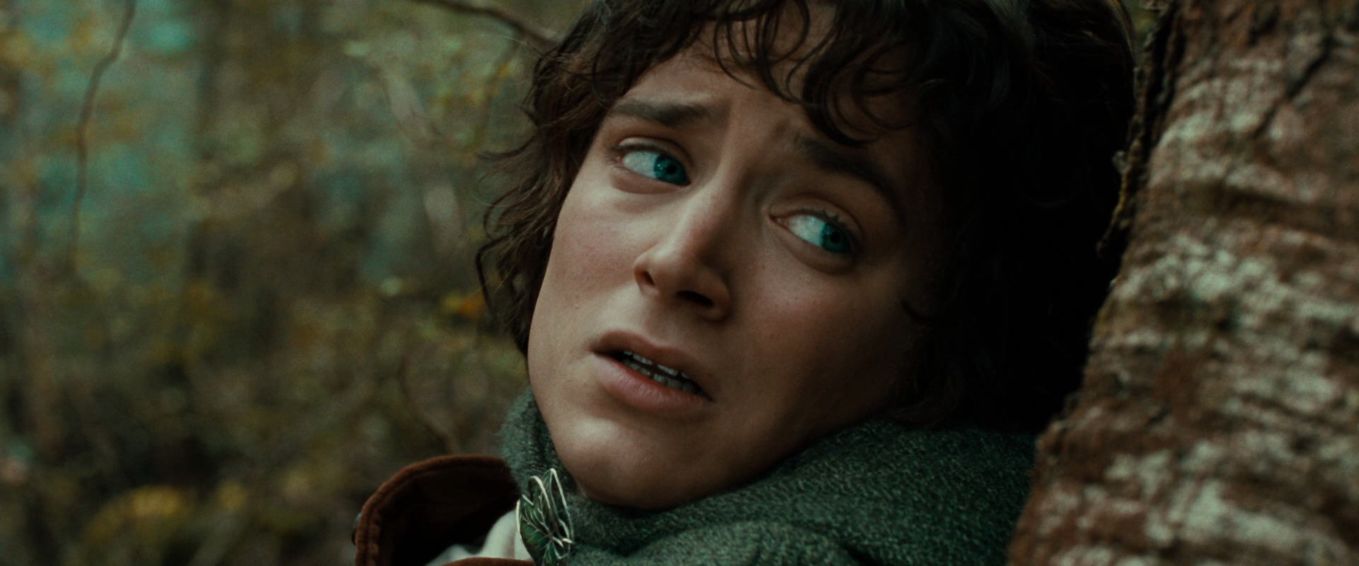 The Lord of the Rings: The Fellowship of the Ring (2001) HD screenshot 22094