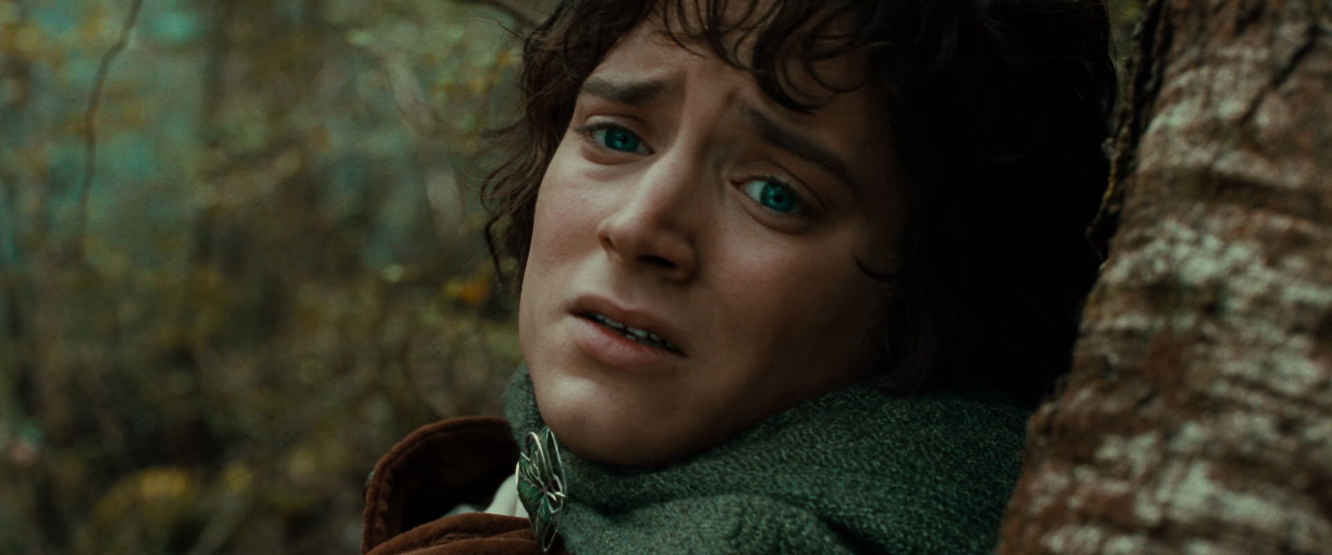 The Lord of the Rings: The Fellowship of the Ring (2001) screencap 22095