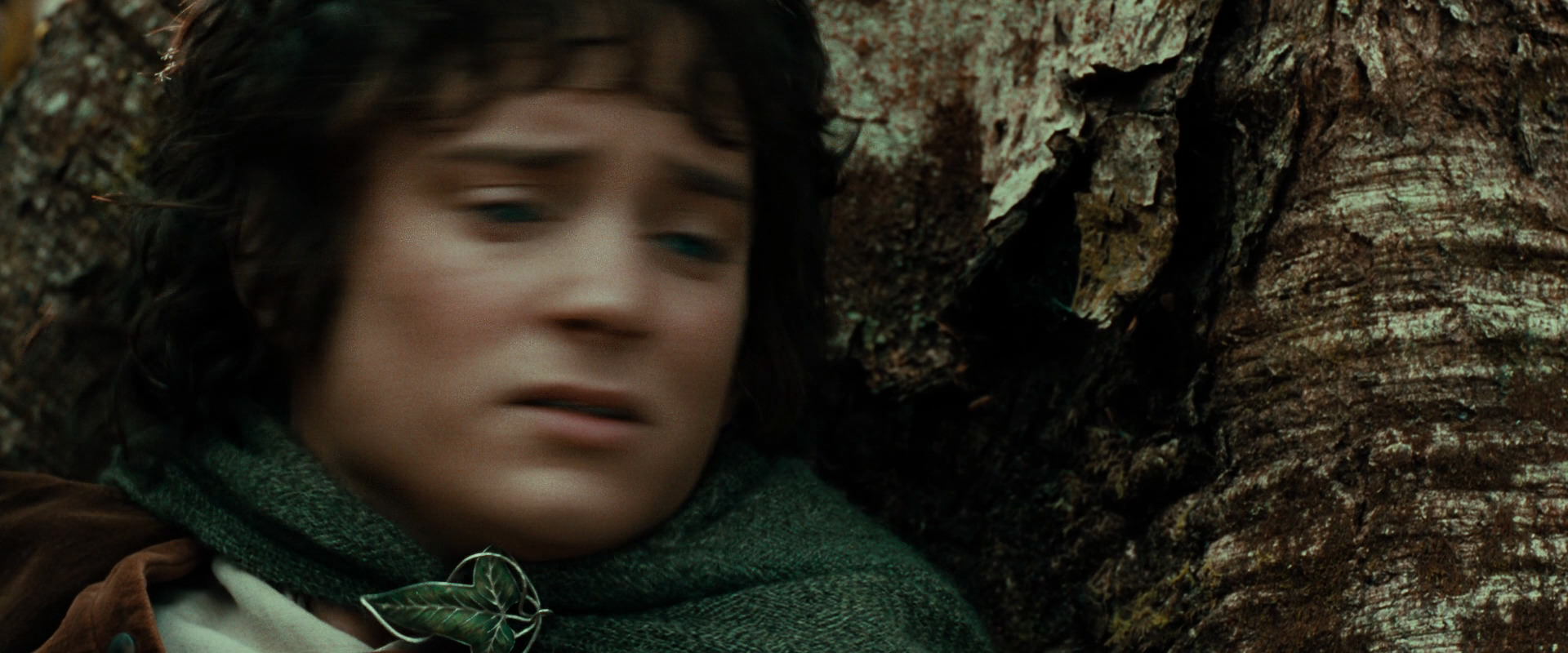 The Lord of the Rings: The Fellowship of the Ring (2001) movie still 22096