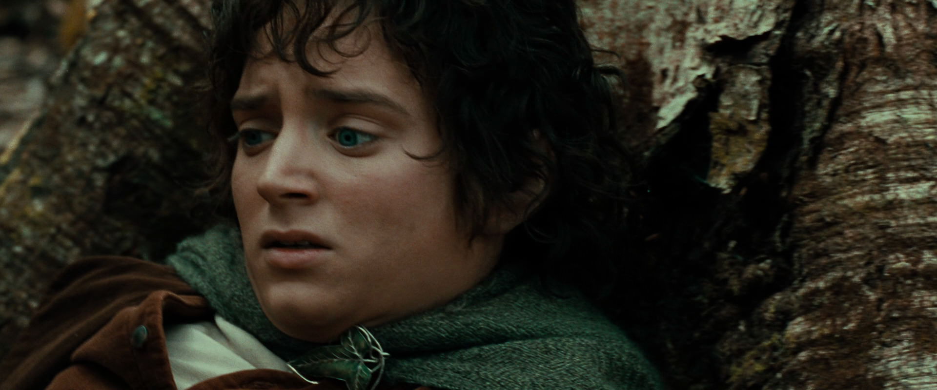 The Lord of the Rings: The Fellowship of the Ring (2001) HD screenshot 22097