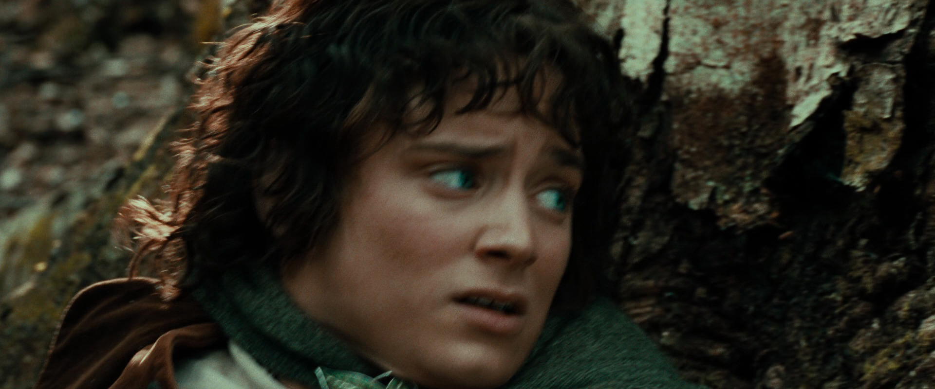 The Lord of the Rings: The Fellowship of the Ring (2001) screencap 22098