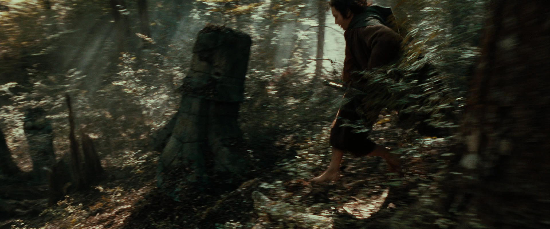 The Lord of the Rings: The Fellowship of the Ring (2001) movie still 22099