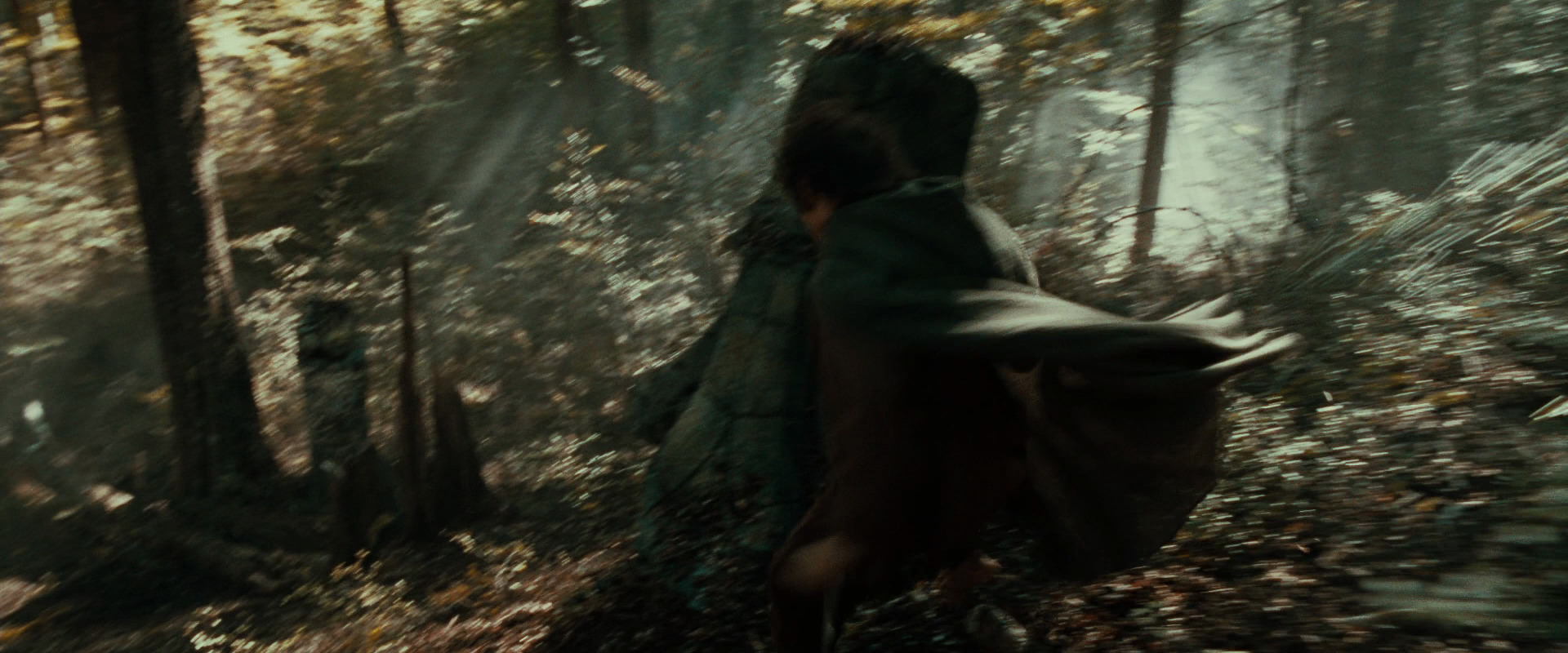 The Lord of the Rings: The Fellowship of the Ring (2001) HD screenshot 22100