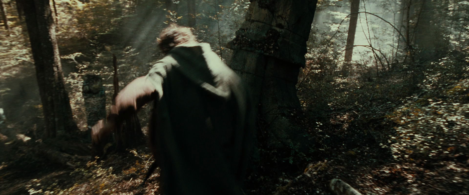 The Lord of the Rings: The Fellowship of the Ring (2001) screencap 22101