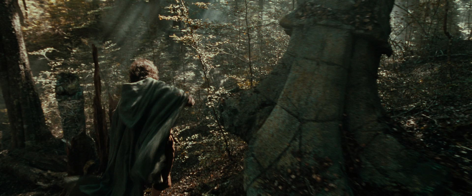 The Lord of the Rings: The Fellowship of the Ring (2001) HD screenshot 22103