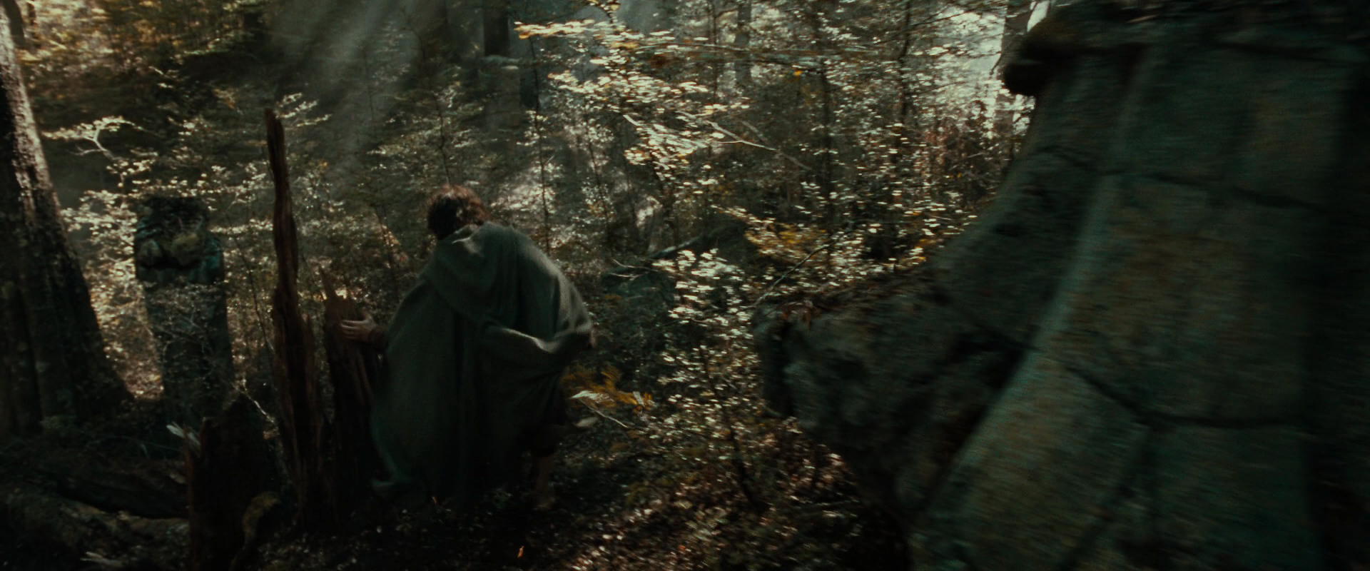 The Lord of the Rings: The Fellowship of the Ring (2001) screencap 22104