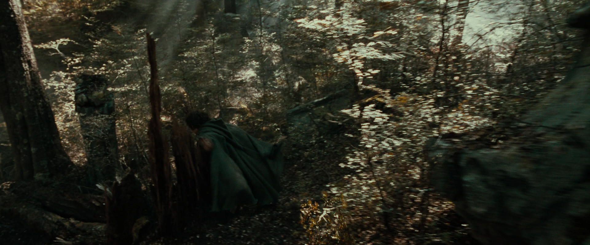 The Lord of the Rings: The Fellowship of the Ring (2001) movie still 22105