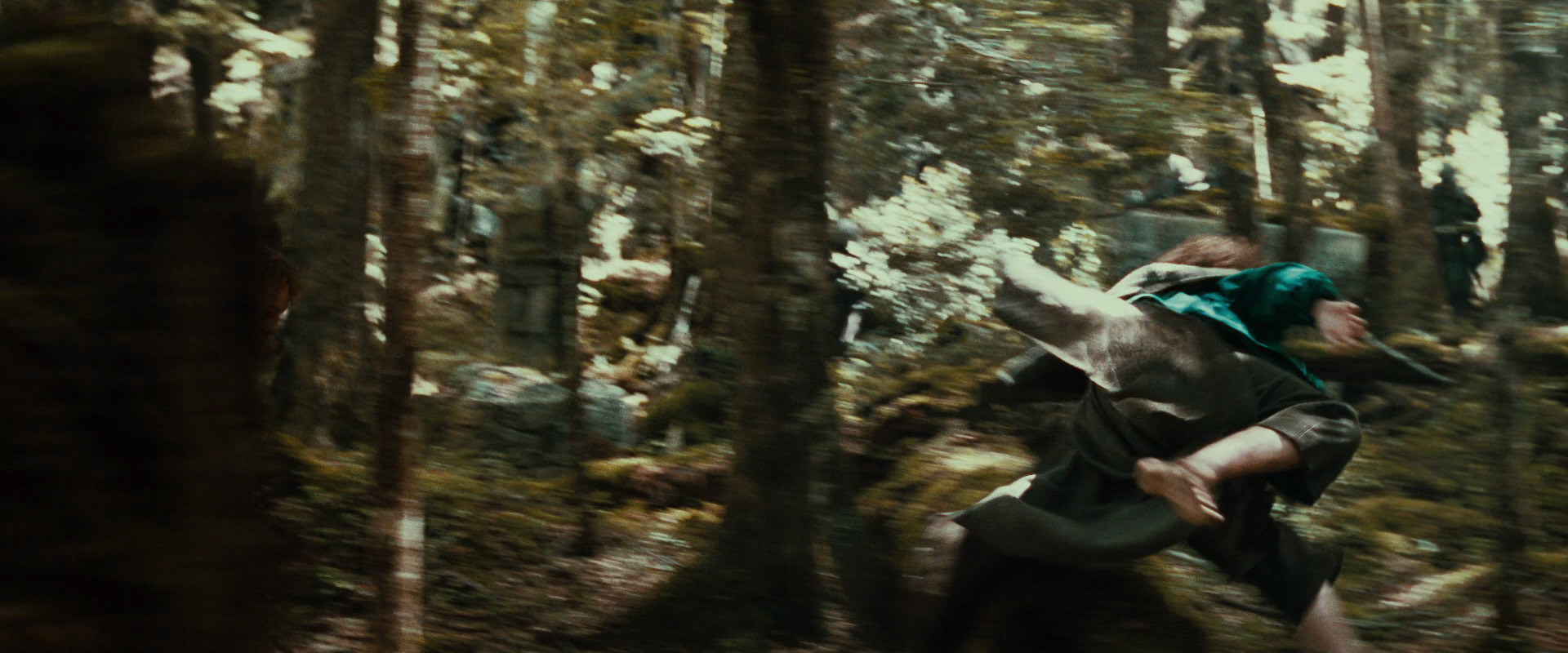 The Lord of the Rings: The Fellowship of the Ring (2001) HD screenshot 22106