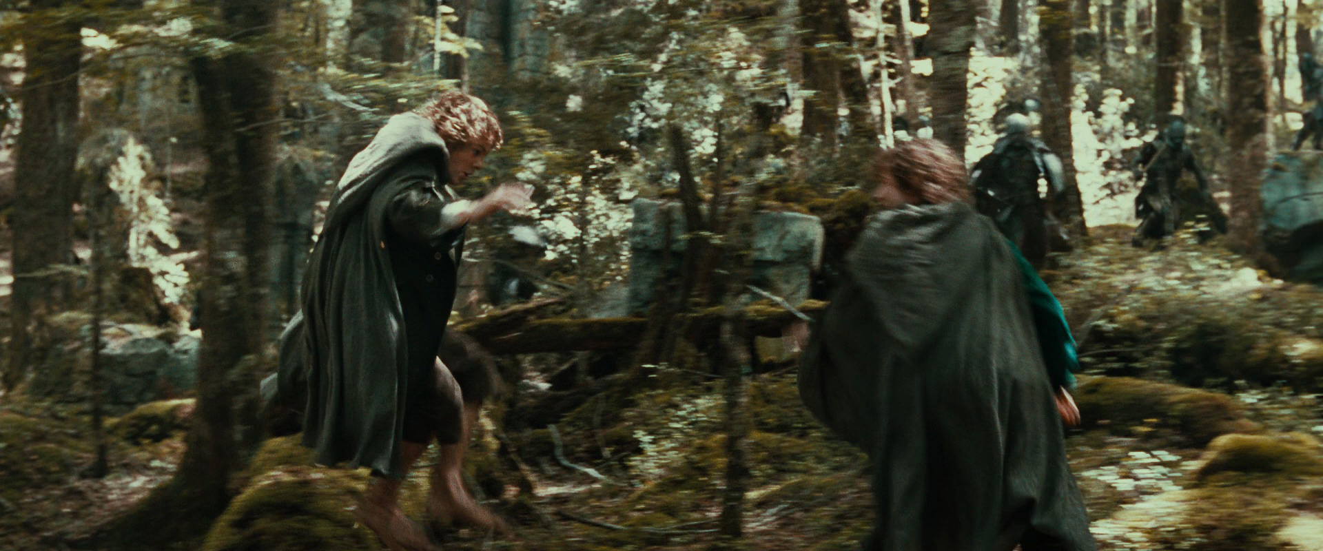 The Lord of the Rings: The Fellowship of the Ring (2001) movie still 22108