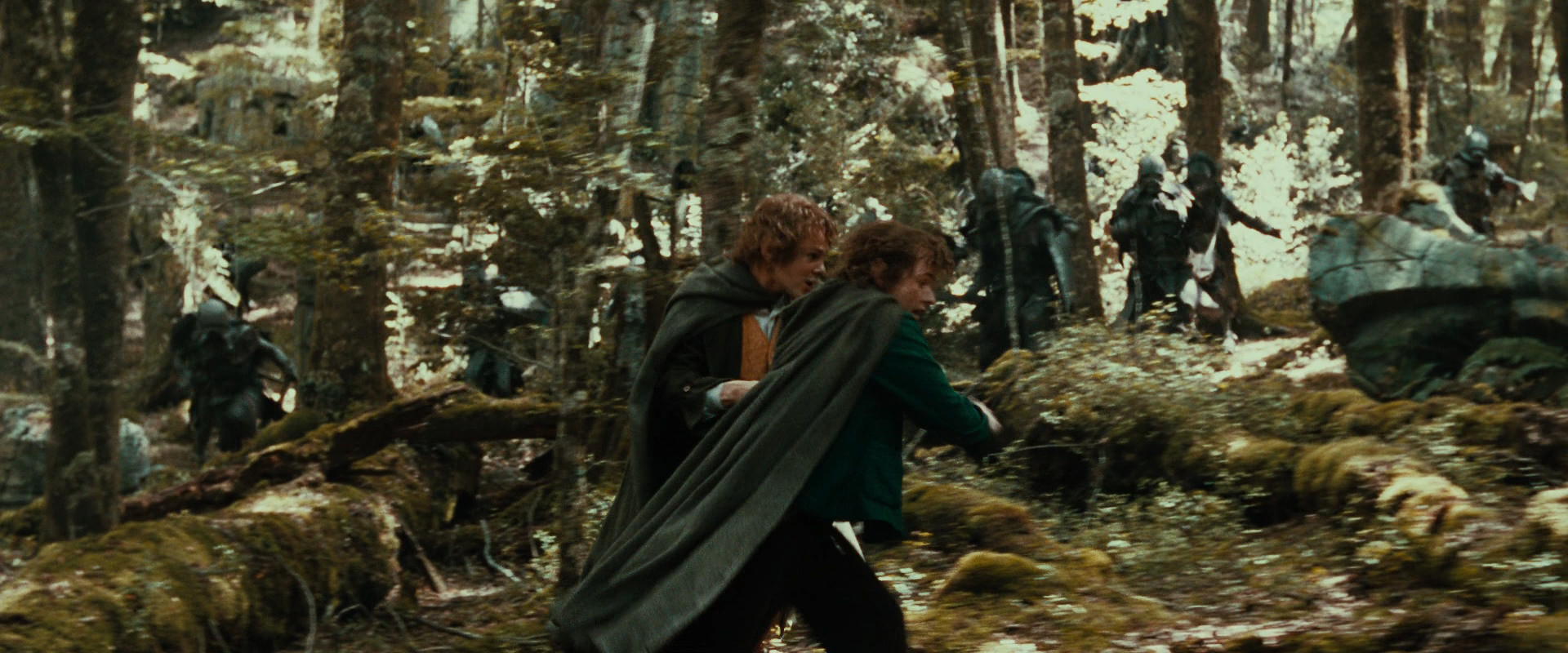 The Lord of the Rings: The Fellowship of the Ring (2001) screencap 22110