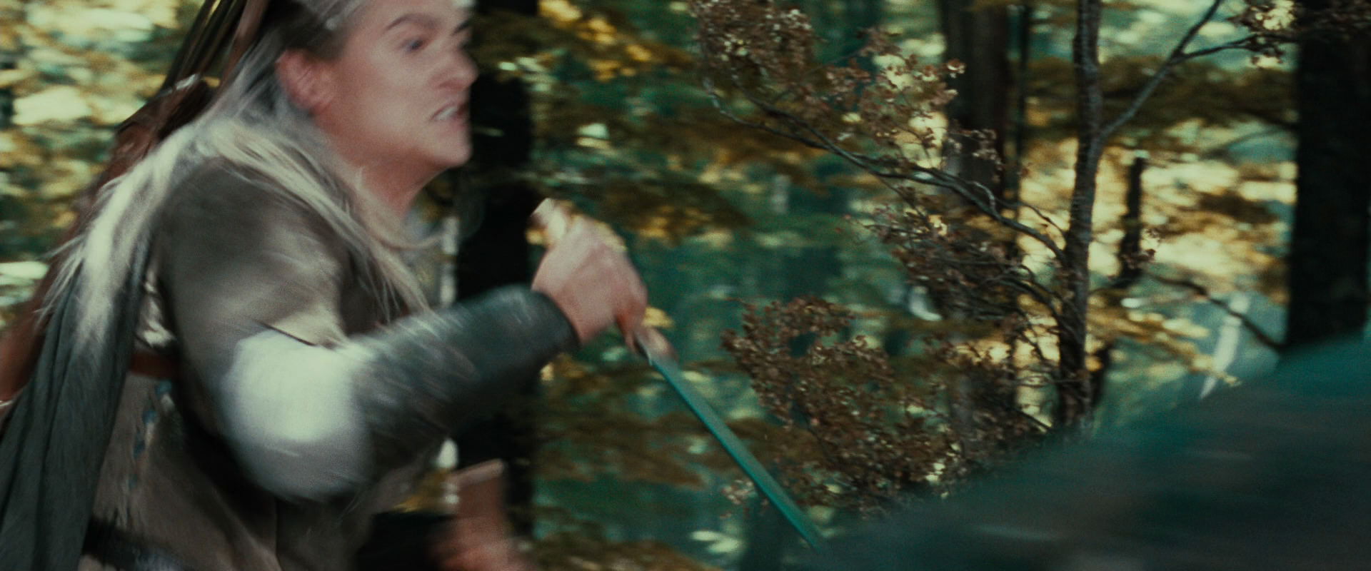 The Lord of the Rings: The Fellowship of the Ring (2001) HD screenshot 22115