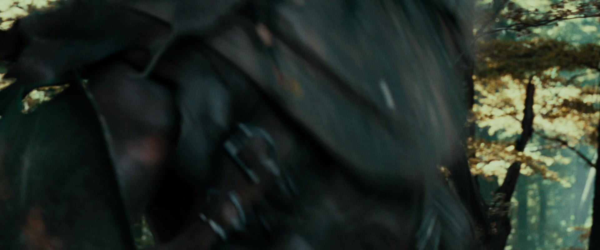The Lord of the Rings: The Fellowship of the Ring (2001) screencap 22116