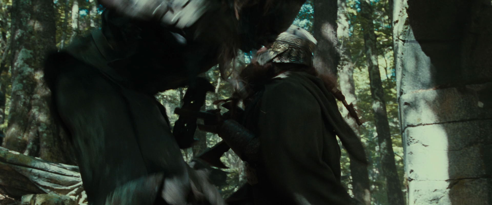 The Lord of the Rings: The Fellowship of the Ring (2001) screencap 22125