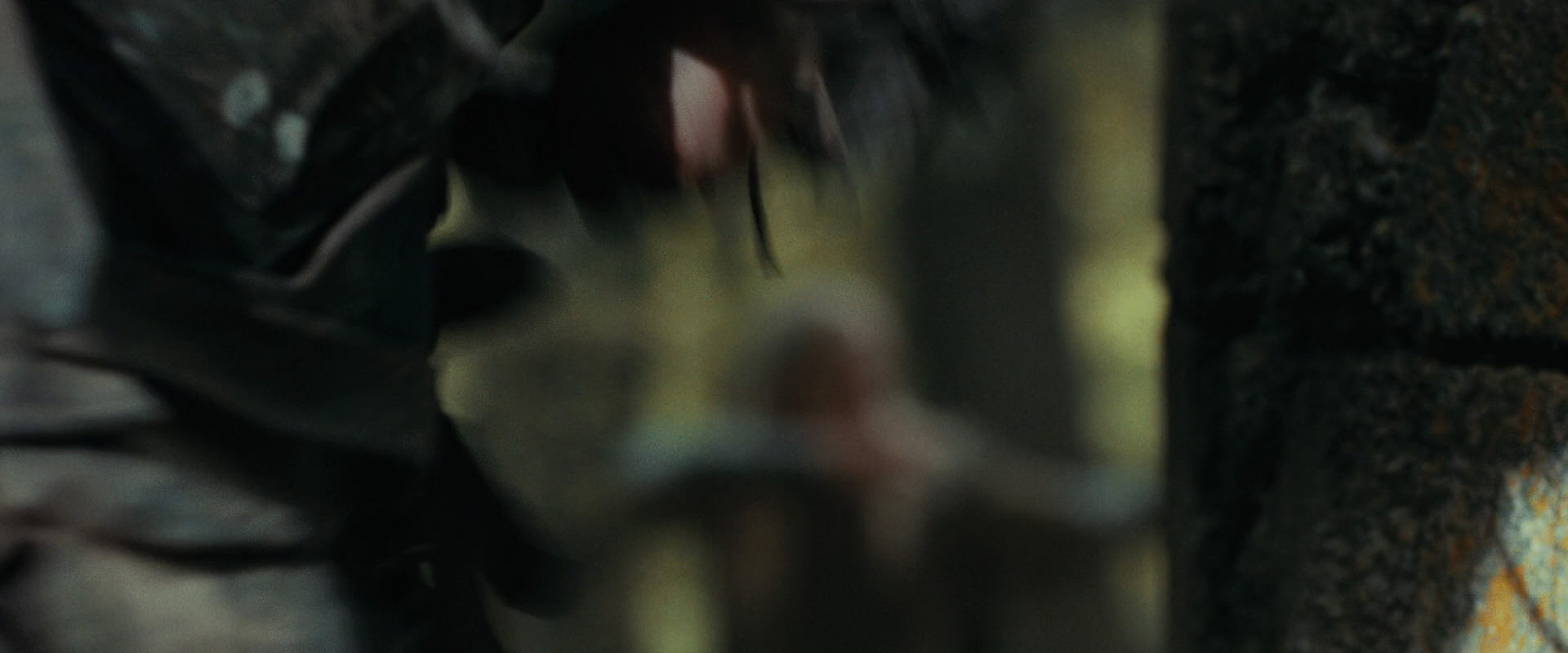 The Lord of the Rings: The Fellowship of the Ring (2001) screencap 22128