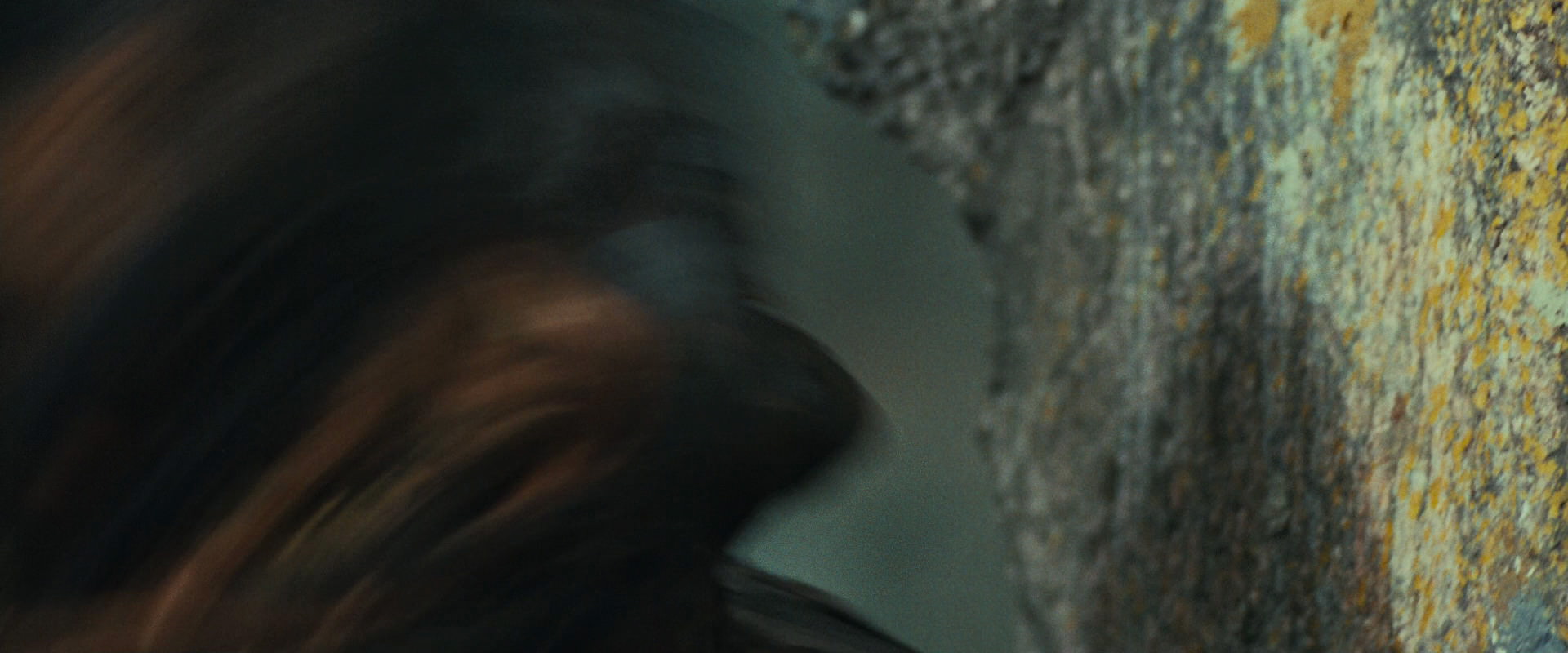 The Lord of the Rings: The Fellowship of the Ring (2001) screencap 22131