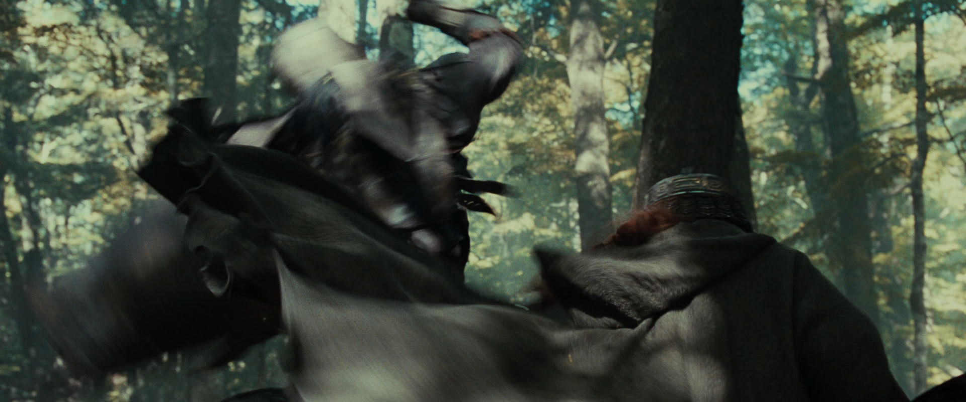 The Lord of the Rings: The Fellowship of the Ring (2001) screencap 22134