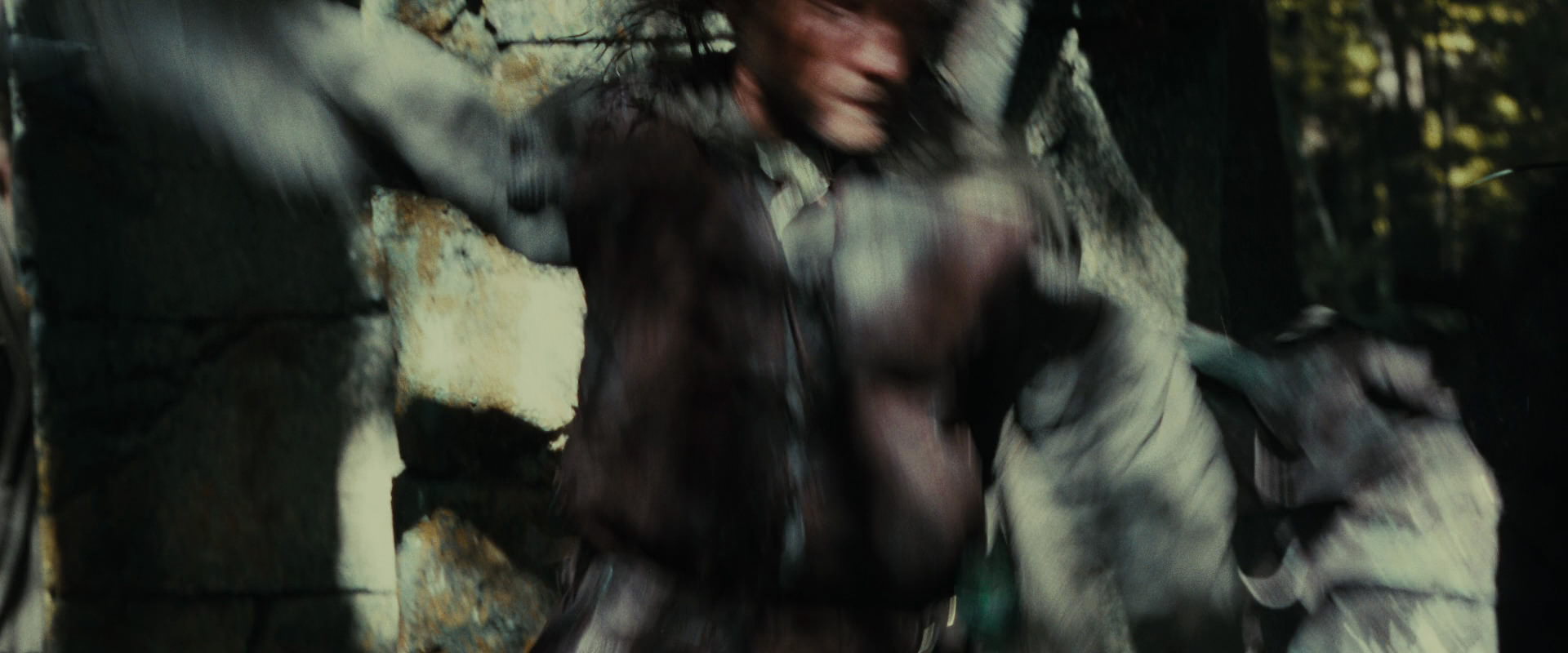 The Lord of the Rings: The Fellowship of the Ring (2001) screencap 22140