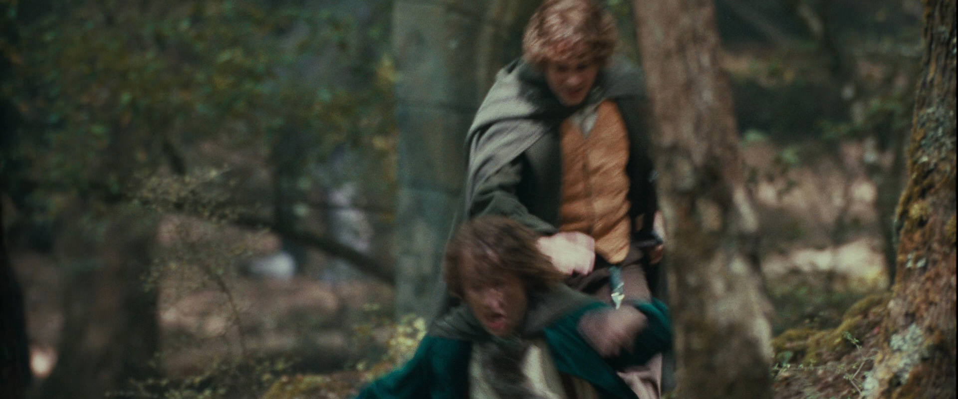 The Lord of the Rings: The Fellowship of the Ring (2001) HD screenshot 22142