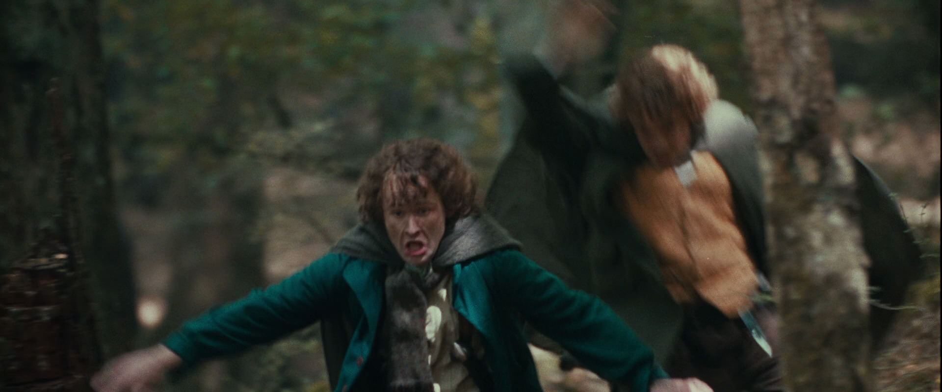 The Lord of the Rings: The Fellowship of the Ring (2001) screencap 22143