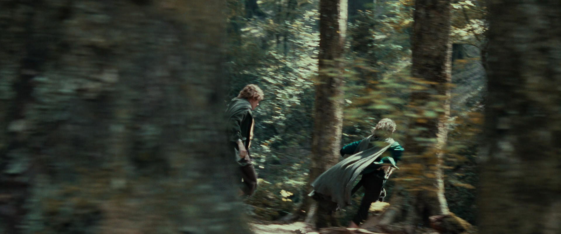 The Lord of the Rings: The Fellowship of the Ring (2001) movie still 22144