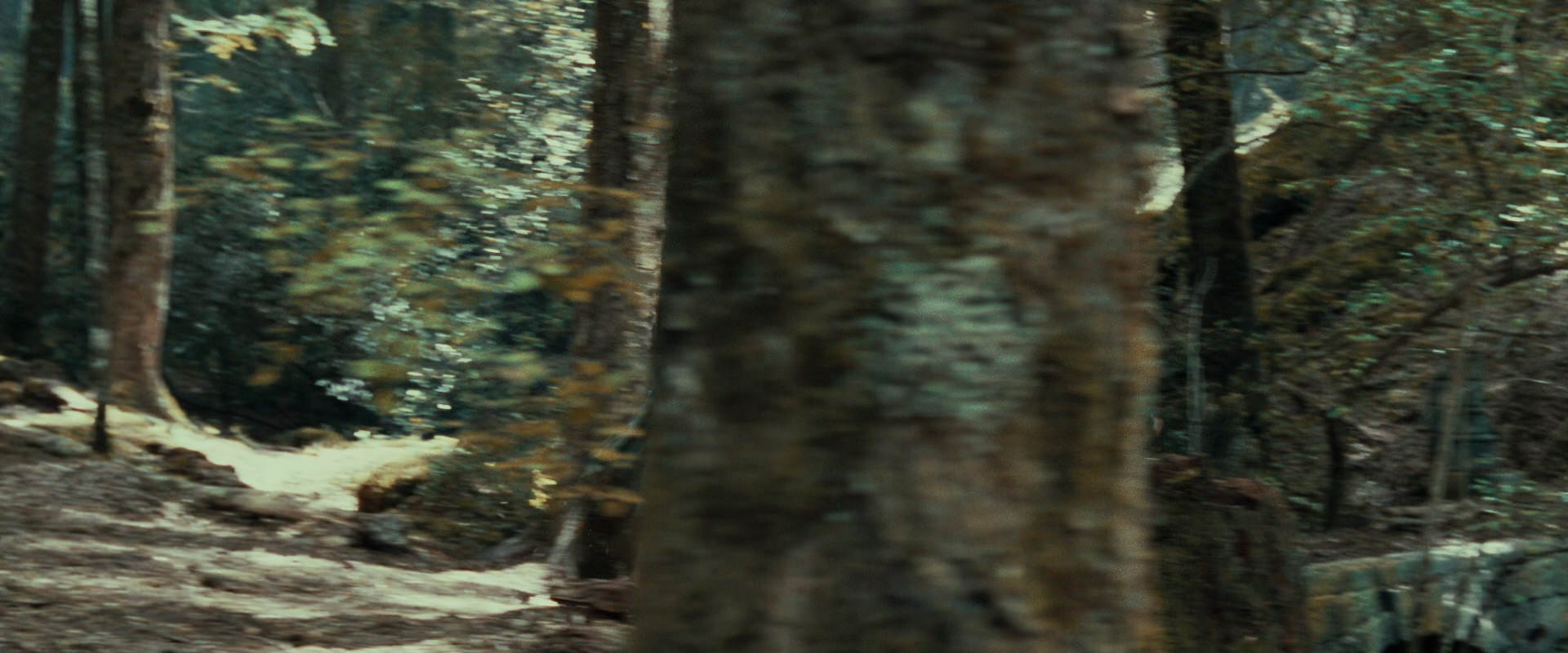 The Lord of the Rings: The Fellowship of the Ring (2001) HD screenshot 22145