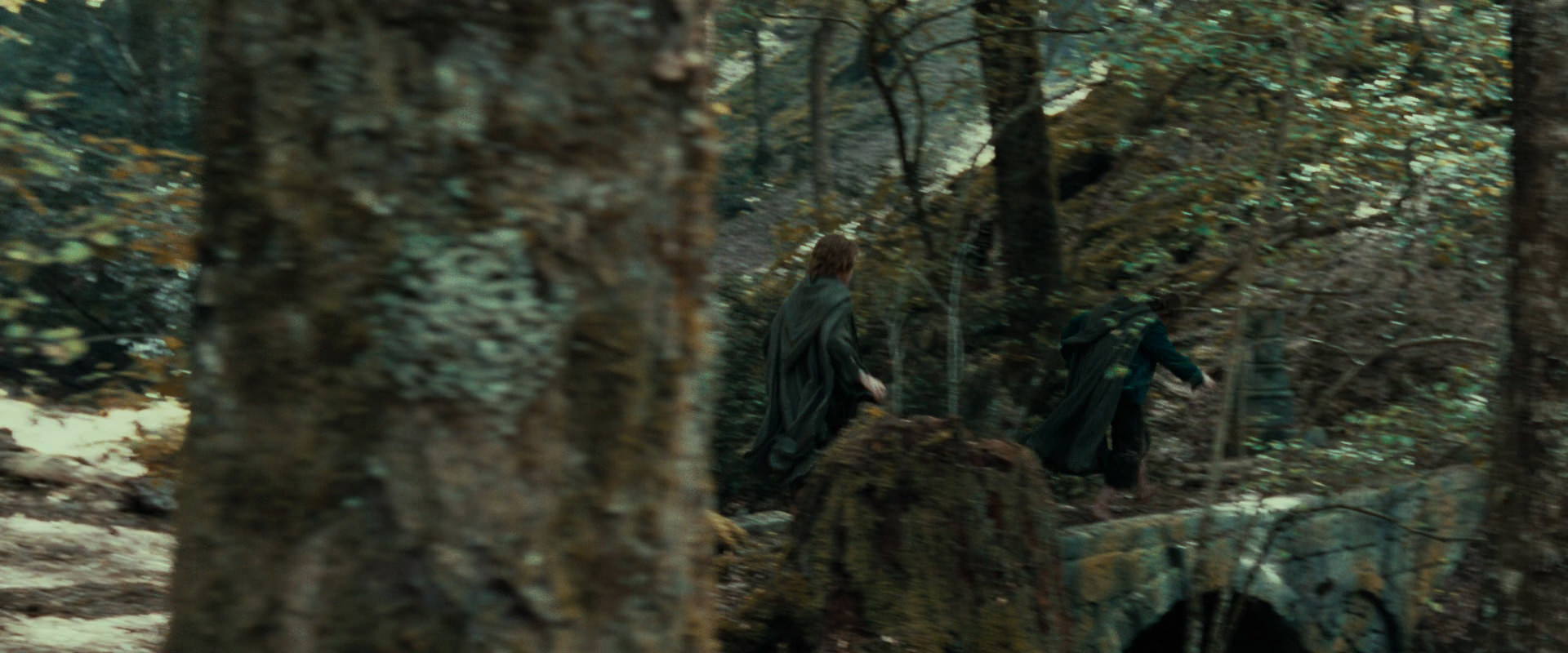 The Lord of the Rings: The Fellowship of the Ring (2001) screencap 22146
