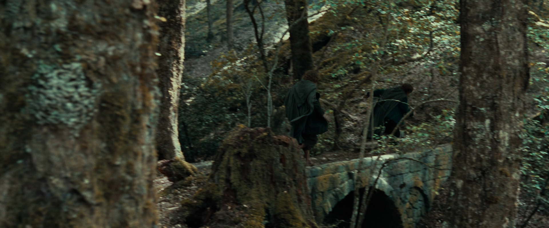 The Lord of the Rings: The Fellowship of the Ring (2001) movie still 22147