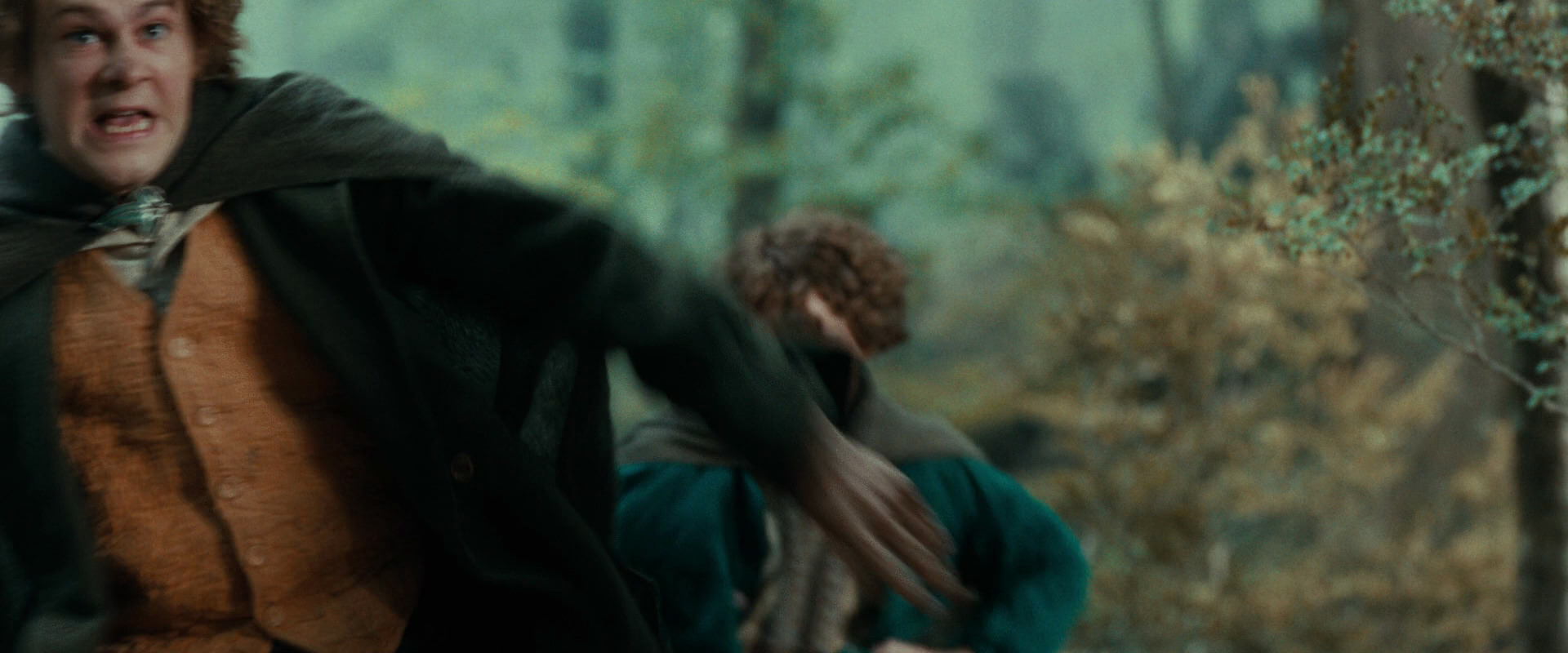 The Lord of the Rings: The Fellowship of the Ring (2001) HD screenshot 22148