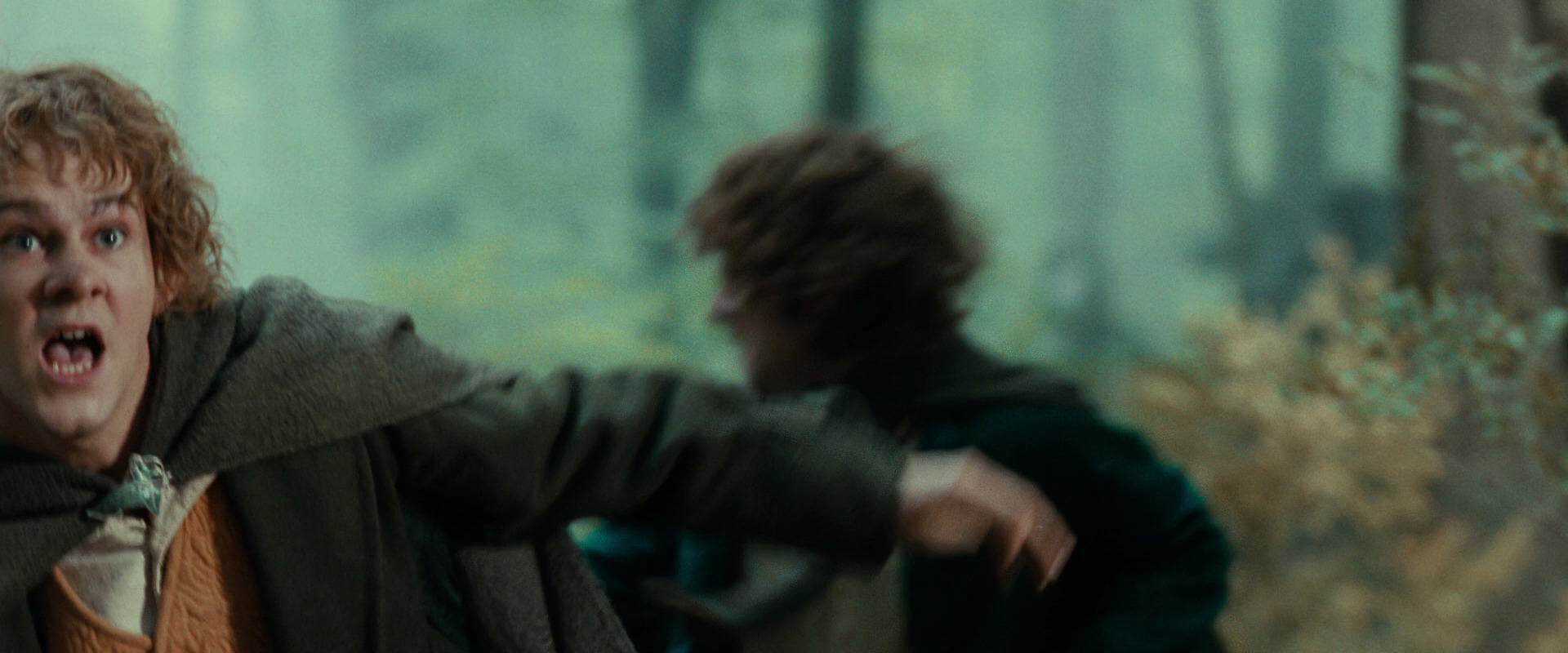 The Lord of the Rings: The Fellowship of the Ring (2001) screencap 22149