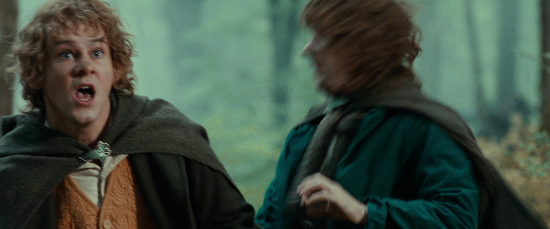 The Lord of the Rings: The Fellowship of the Ring (2001) movie still 22150