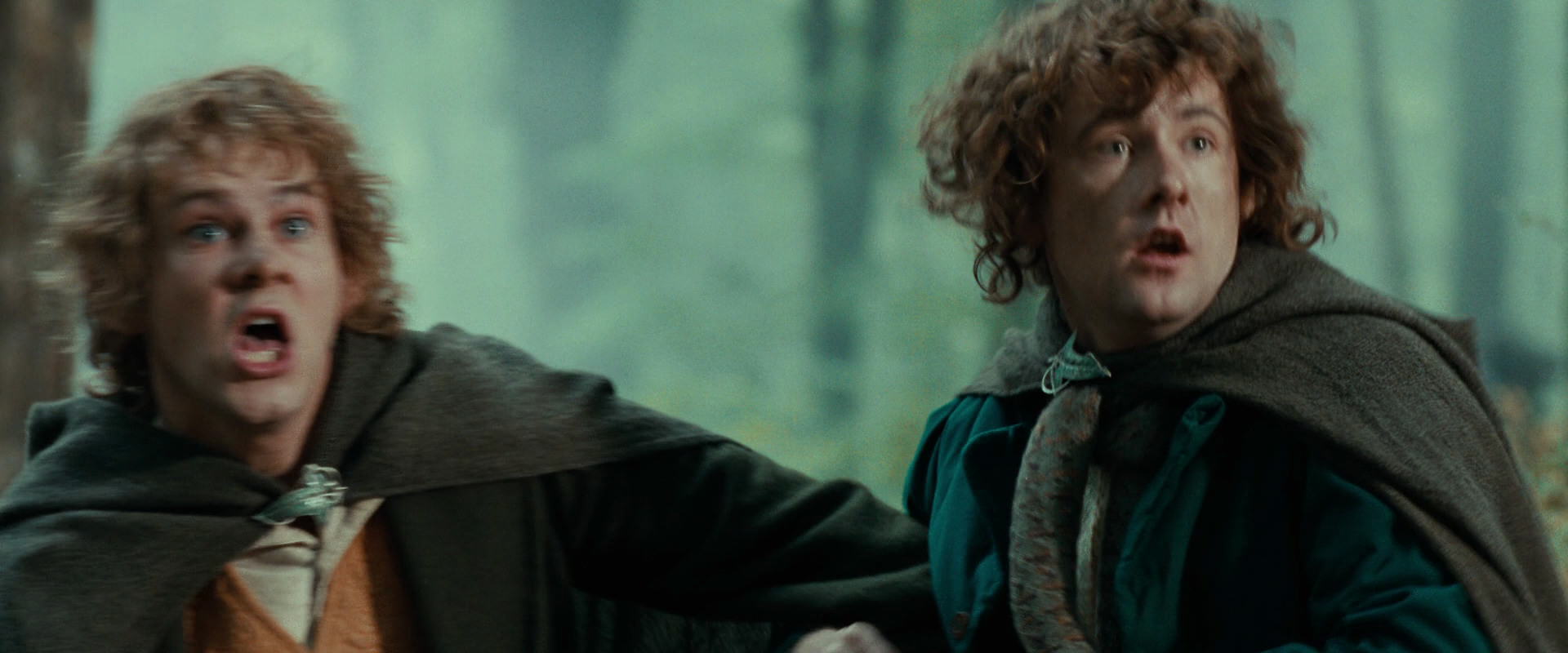 The Lord of the Rings: The Fellowship of the Ring (2001) HD screenshot 22151