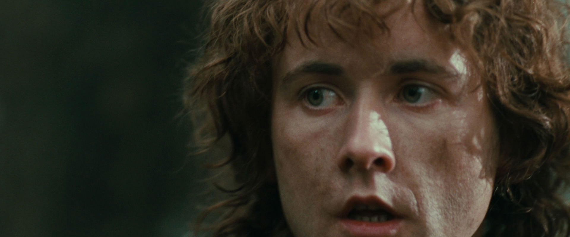 The Lord of the Rings: The Fellowship of the Ring (2001) HD screenshot 22154