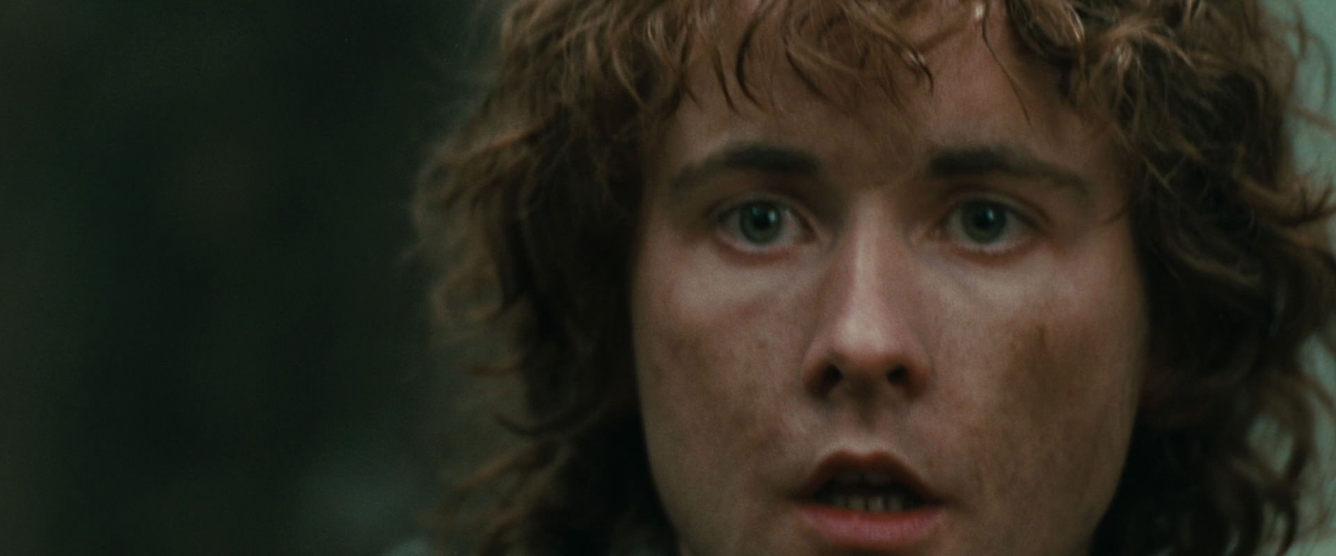 The Lord of the Rings: The Fellowship of the Ring (2001) screencap 22155