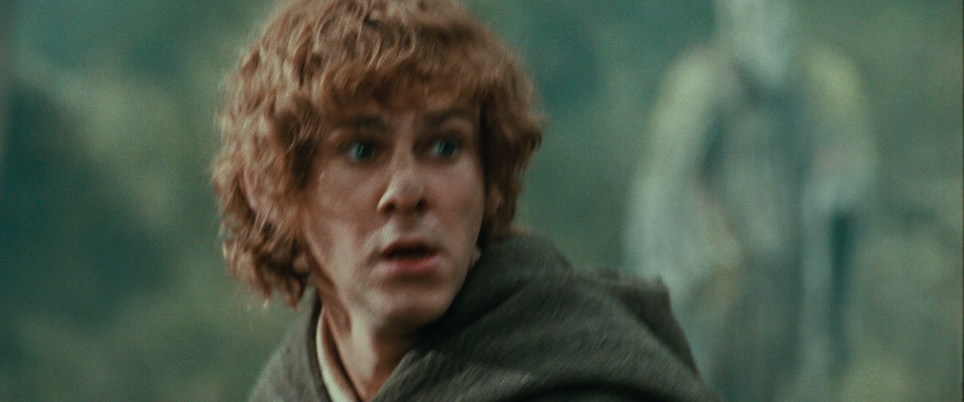 The Lord of the Rings: The Fellowship of the Ring (2001) movie still 22159