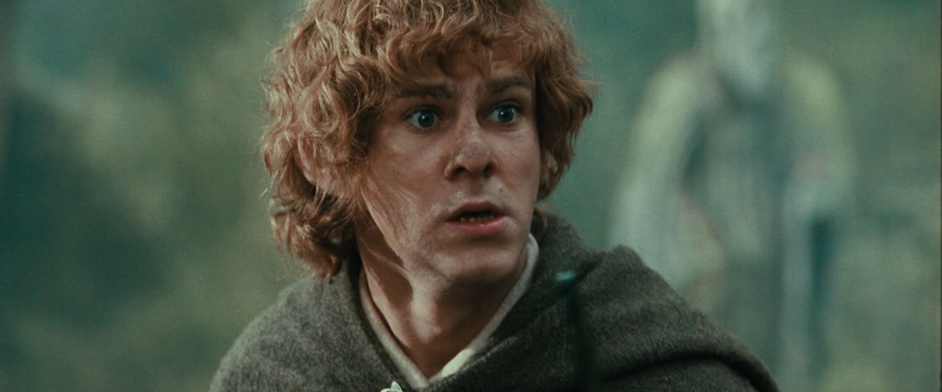 The Lord of the Rings: The Fellowship of the Ring (2001) HD screenshot 22160