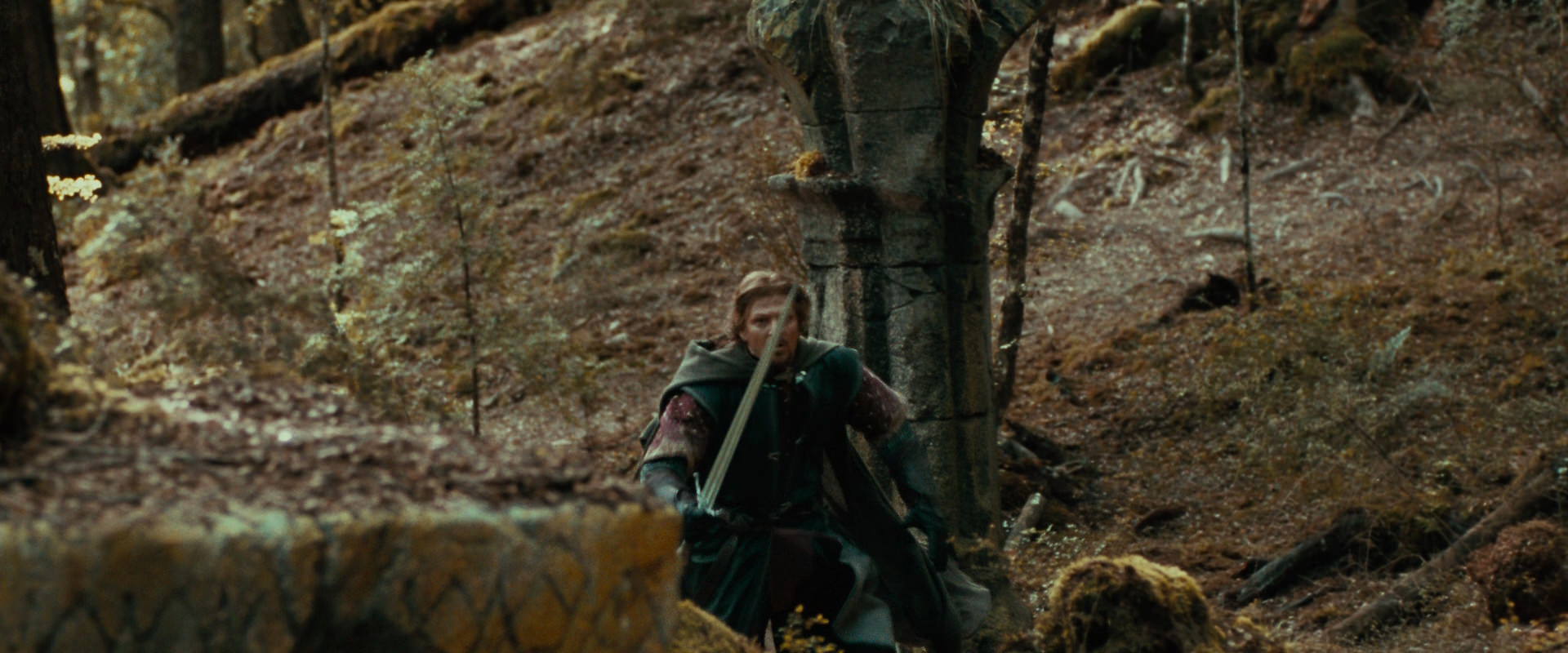 The Lord of the Rings: The Fellowship of the Ring (2001) screencap 22161