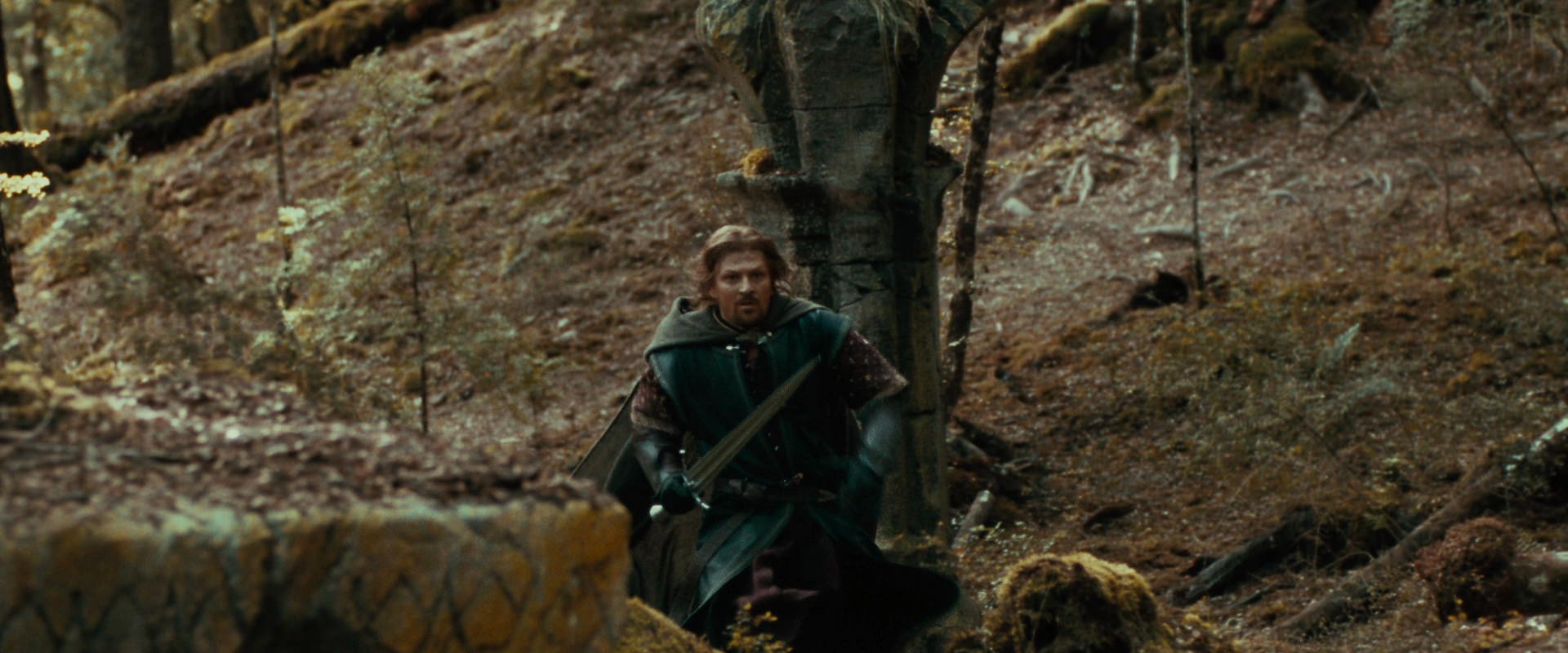 The Lord of the Rings: The Fellowship of the Ring (2001) movie still 22162