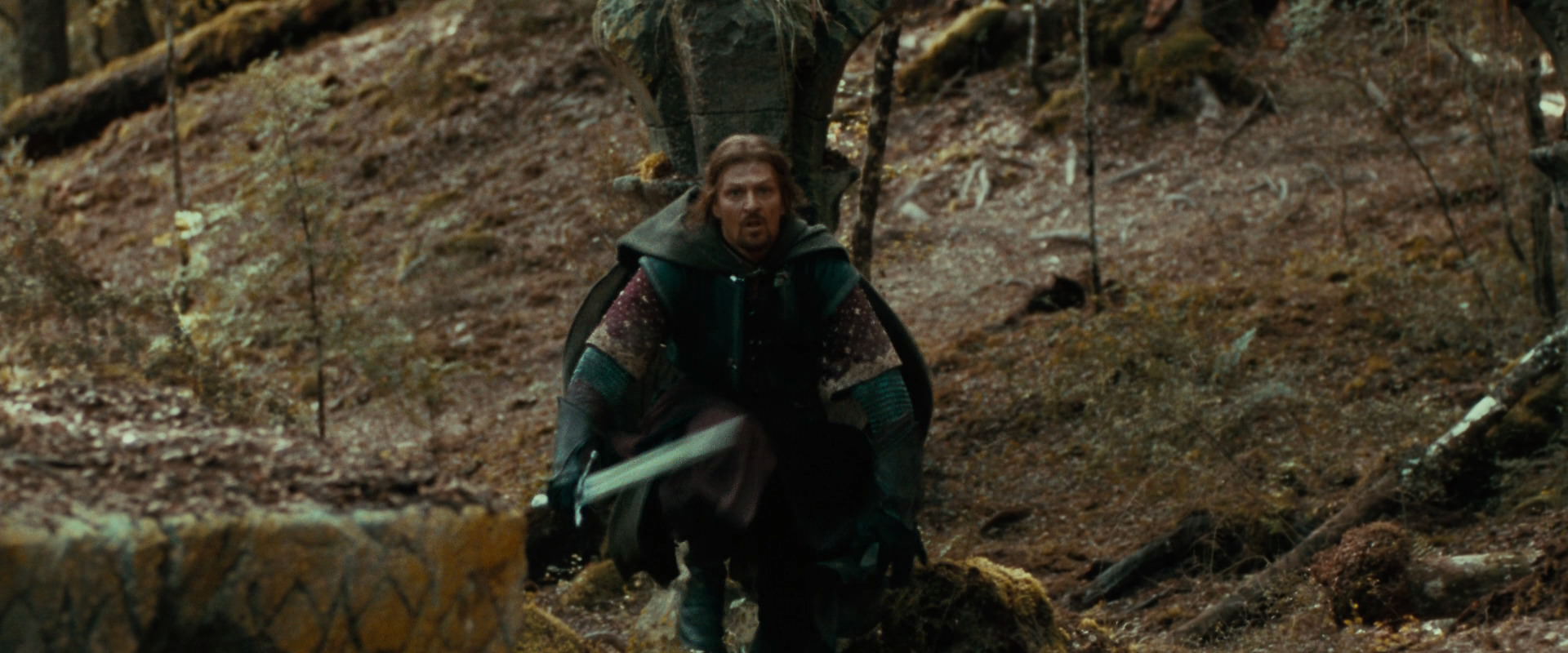 The Lord of the Rings: The Fellowship of the Ring (2001) screencap 22164