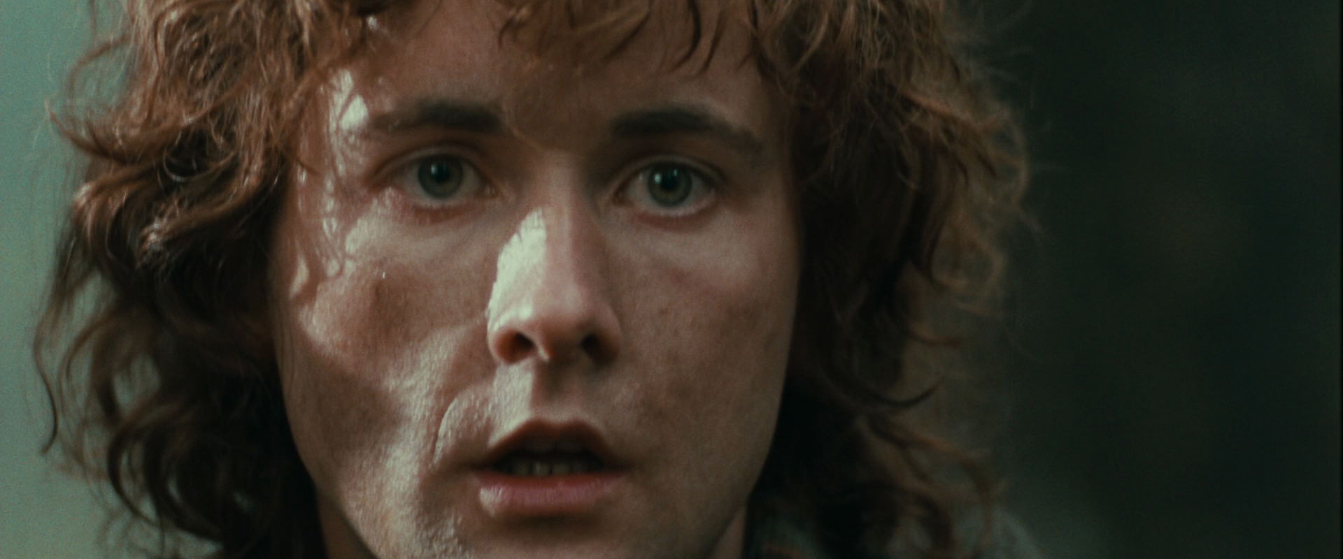 The Lord of the Rings: The Fellowship of the Ring (2001) movie still 22168