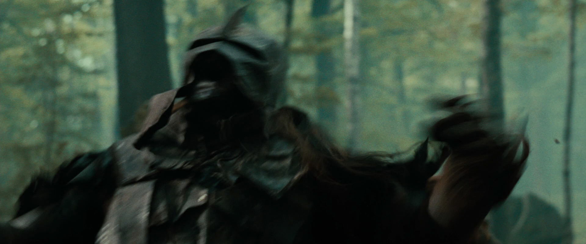 The Lord of the Rings: The Fellowship of the Ring (2001) HD screenshot 22178